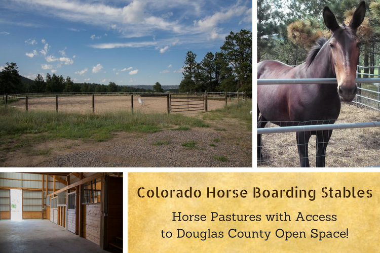 Boarding Stable, Horse Pasture, Douglas County Open Space, Horse Trails in Colorado