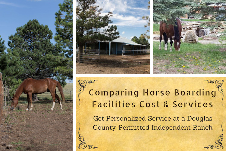 Snow Creek Larkspur – A Great Deal for Horse Boarding Facilities in Colorado