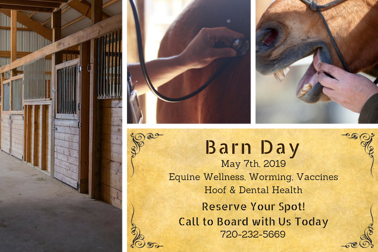 Board with Us Today to Reserve a Spot on Barn Day!